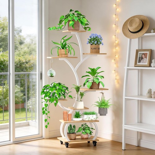Plant stand indoor - plant, grow
